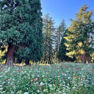 Meet your Posher, Gissel